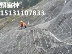 南京植草护坡勾花网-6×6公分护坡机编挂网规格-客土喷播用镀锌勾花网生产厂家